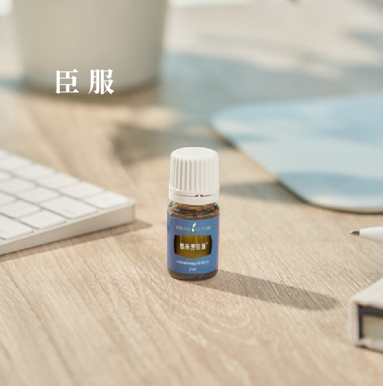 鍥剧墖