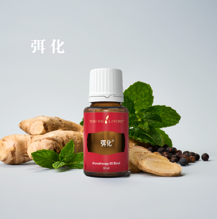 鍥剧墖