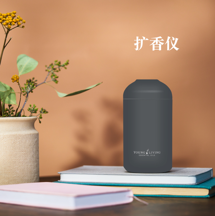 纯油扩香仪