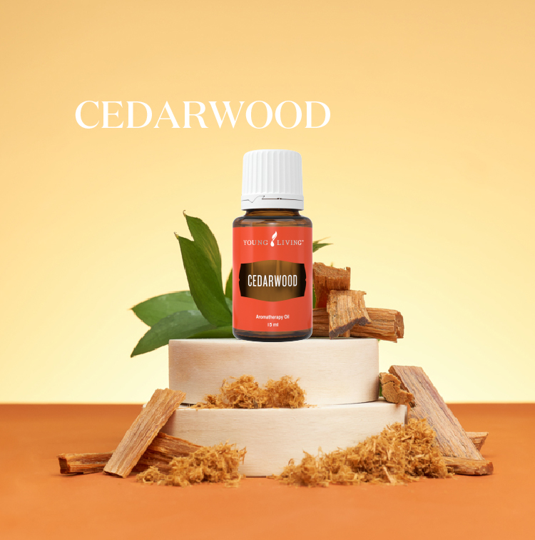 鍥剧墖