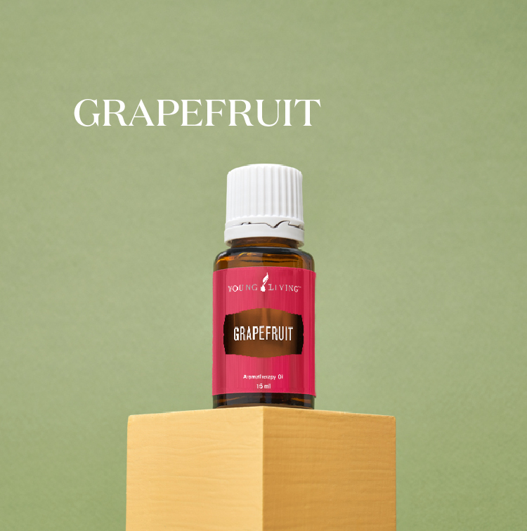 西柚 Grapefruit
