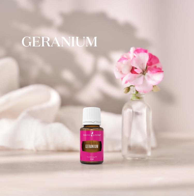 鍥剧墖