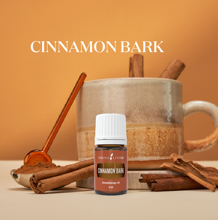 桂皮 Cinnamon Bark