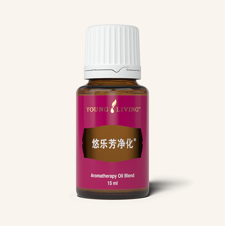 鍥剧墖