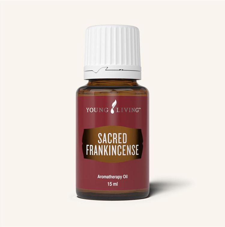 鍥剧墖
