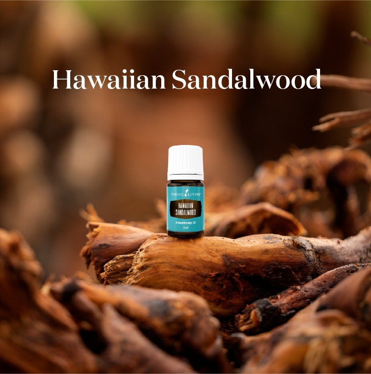 夏威夷檀香 Hawaiian Sandalwood