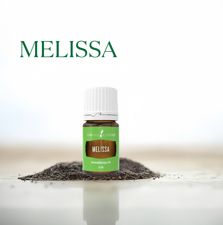 香蜂草 Melissa