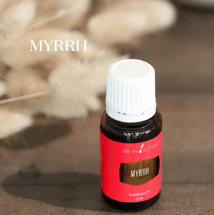 没药 Myrrh