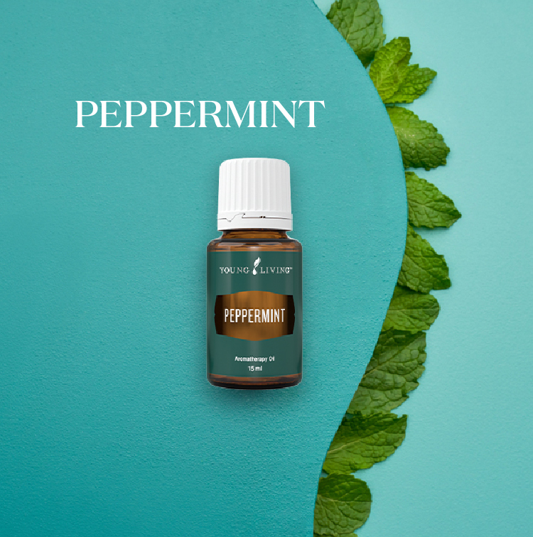 薄荷 Peppermint