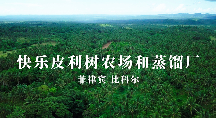 菲律宾快乐皮利树农场和蒸馏厂
