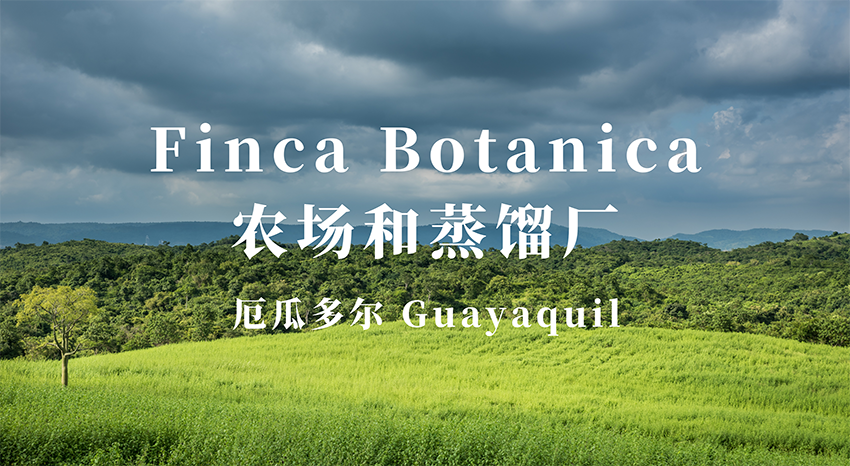 厄瓜多尔Finca Botanica农场和蒸馏工厂