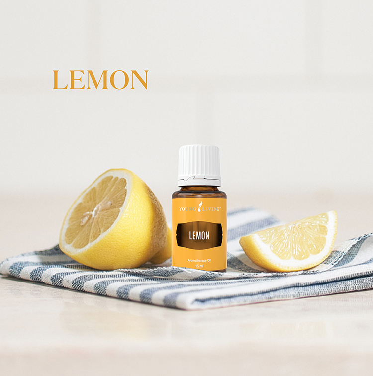 柠檬 Lemon