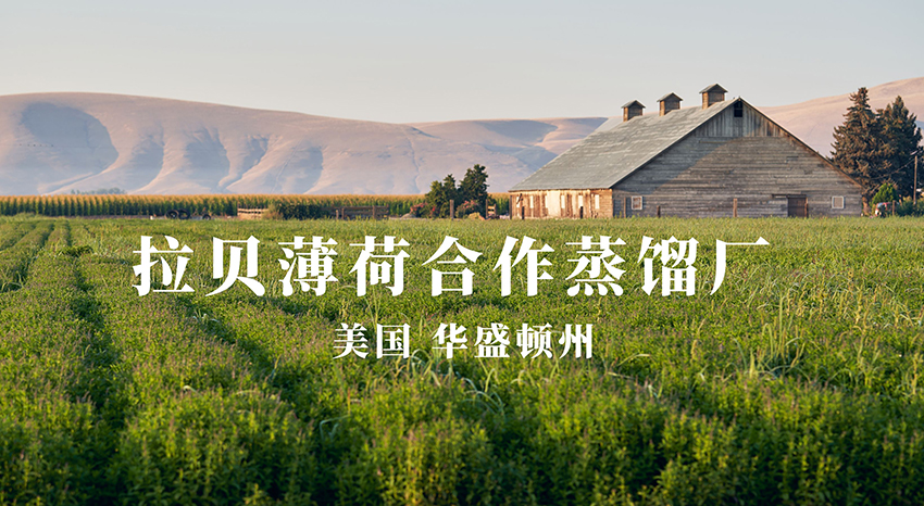 美国华盛顿拉贝薄荷合作蒸馏厂