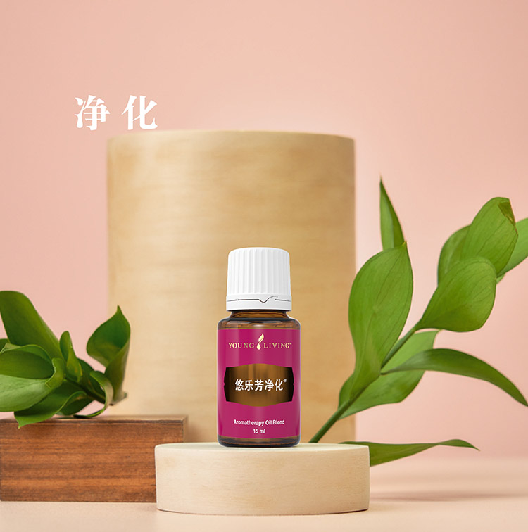 鍥剧墖