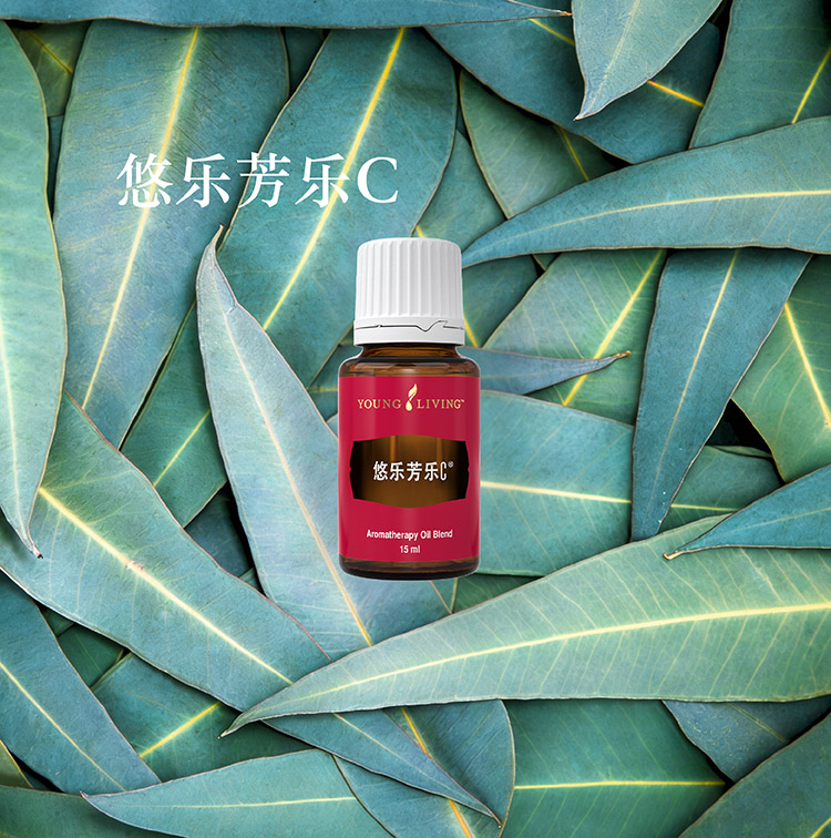 乐C