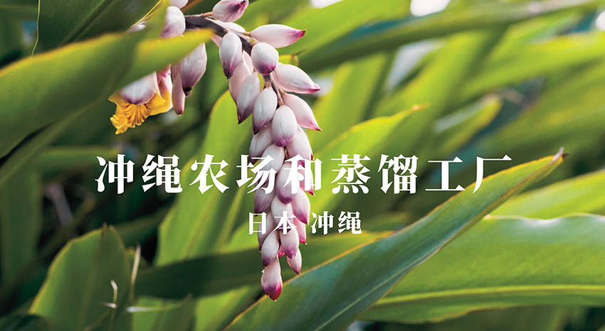 日本冲绳农场和蒸馏工厂