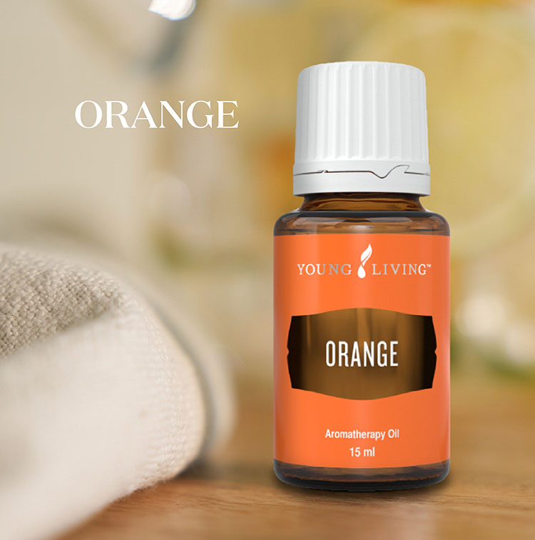 甜橙 Orange
