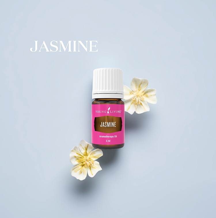 茉莉 Jasmine