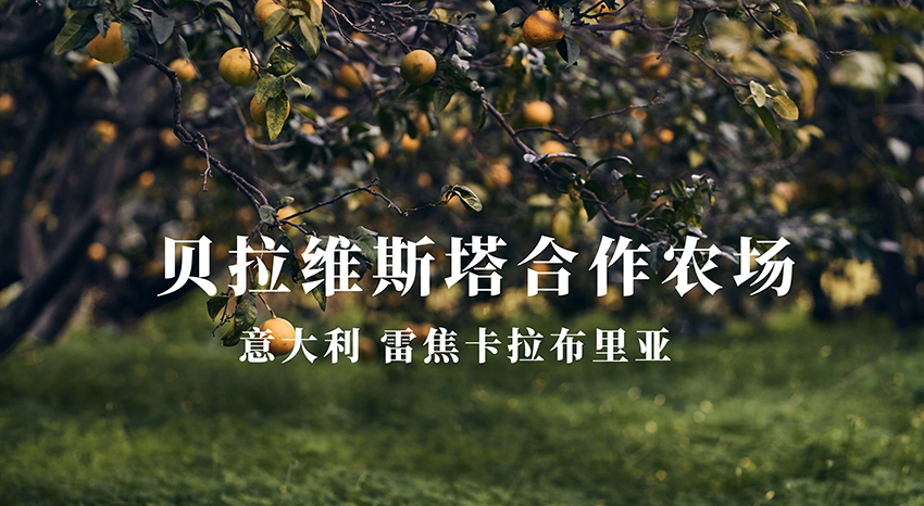 意大利贝拉维斯塔农场