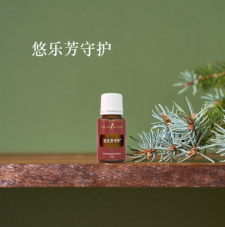 守护