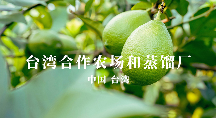 台湾合作农场与蒸馏厂