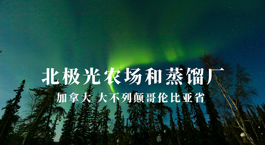 加拿大北极光农场和蒸馏工厂