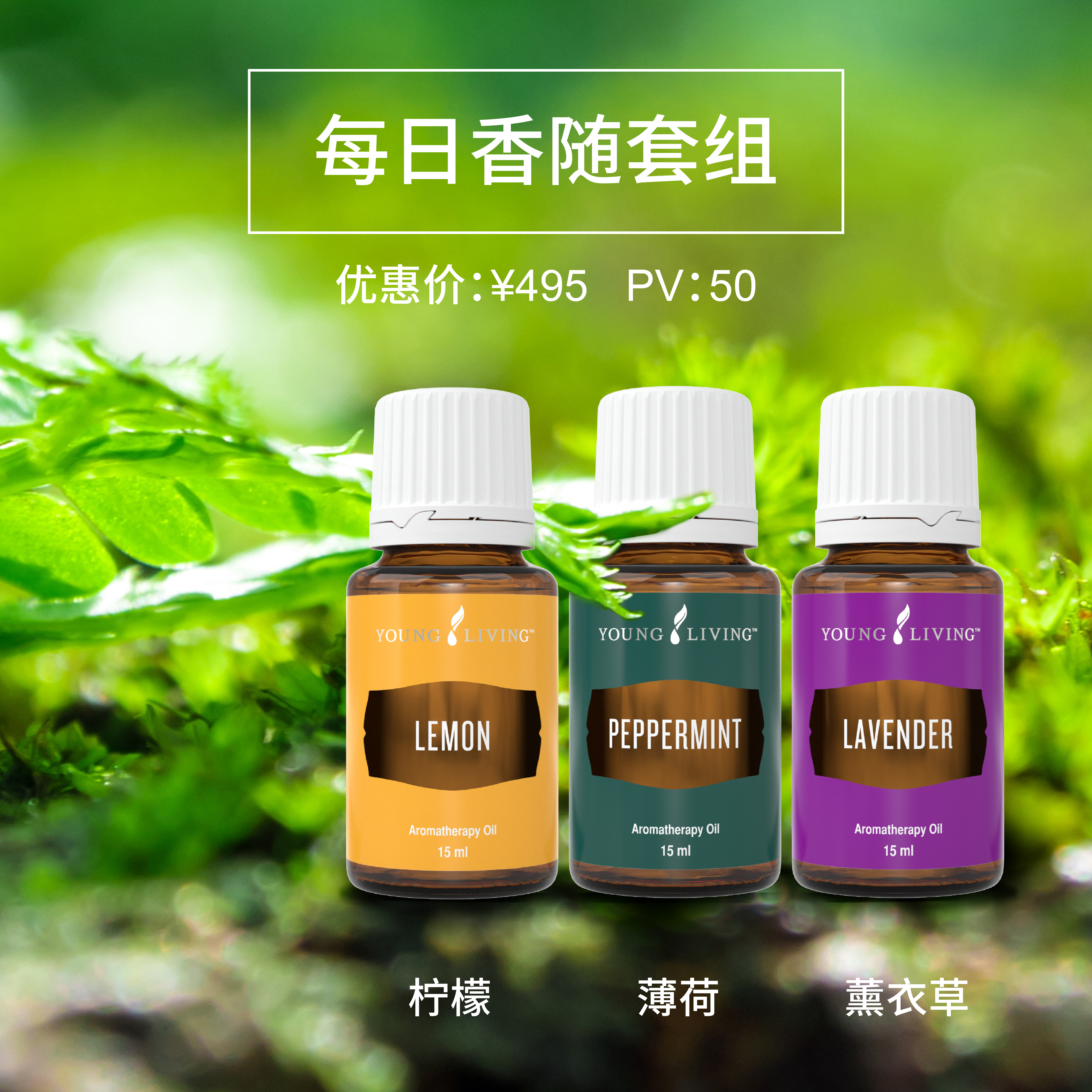 每日香随套组